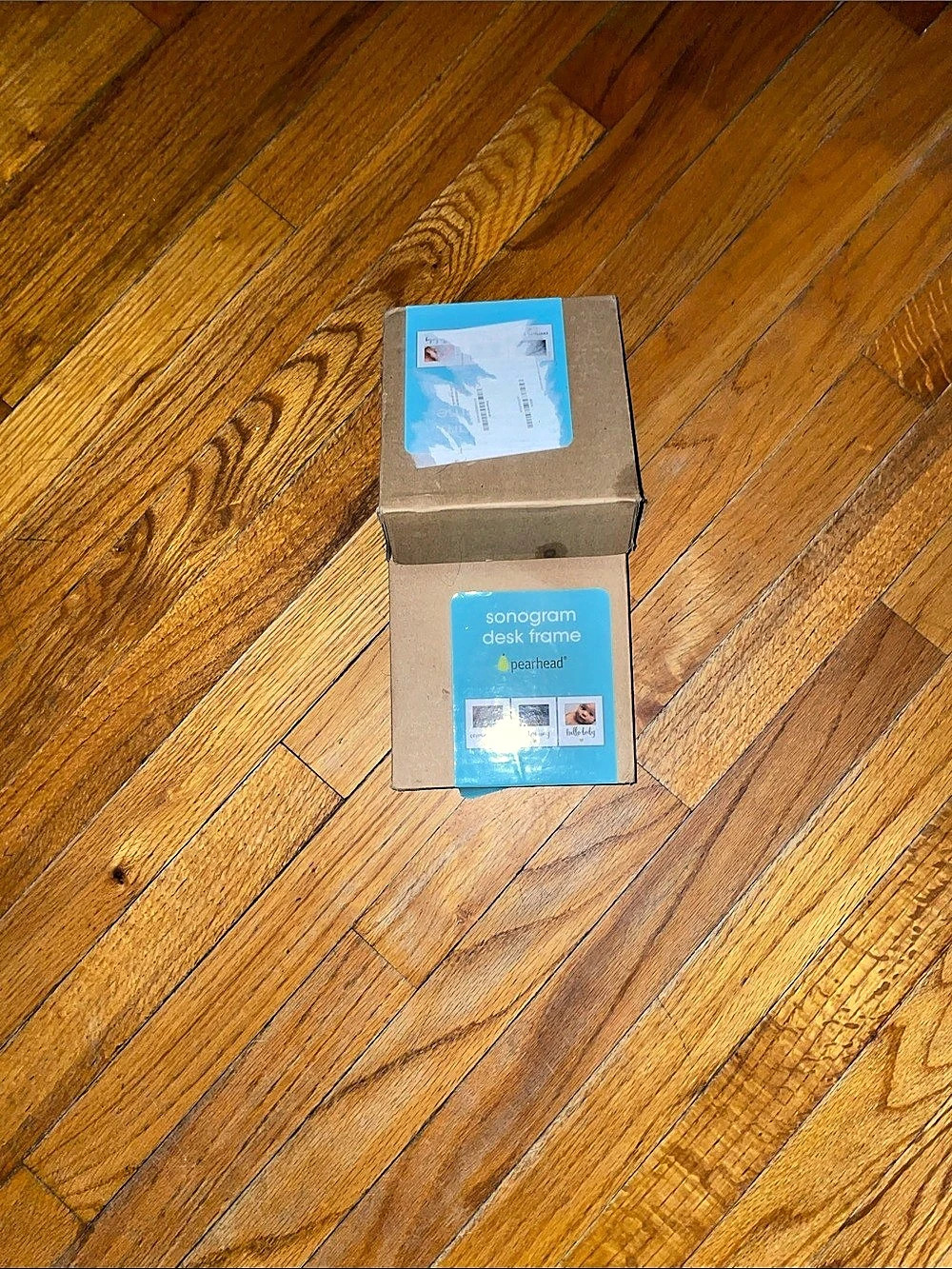Pearhead Sonogram Desk Frame Blue & Brown